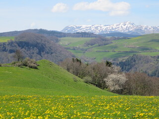 Fototapeta na wymiar Sentier de la Roche Nité -Valbeleix - Auvergne