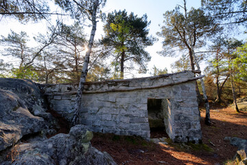 Abandonned stone cabin in Fontainebleau forest