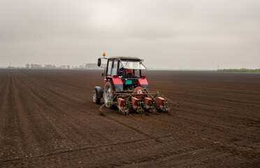 Tractor sowing field in spring time