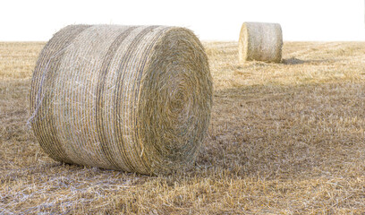 Two hay stacks on dry grass isolated on white background
