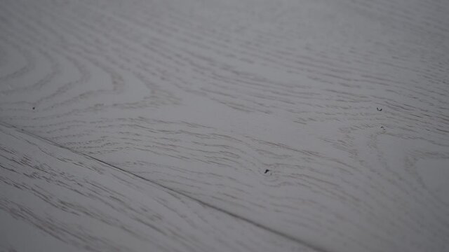 Slow motion handheld shot of white painted oak surface