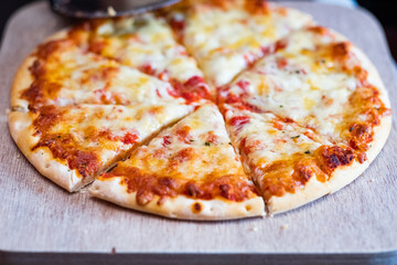 Close up and selective focus of a home cooked thin crust four cheese pizza cut in to slices on a wooden cutting board