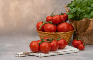 Juicy red tomatoes in basket on grey table with pot of basil. Concept of bio agriculture, tomatoes.