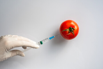 laboratory assistant injects chemicals with a syringe into a tomato. vegetables are processed for...