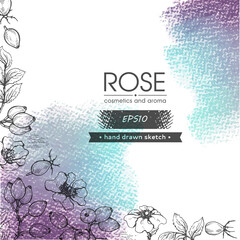 Obraz premium Background filled with Rosa canina and with empty circle inside. Detailed hand-drawn sketches, vector