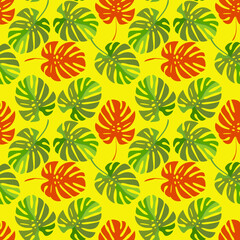 Monstera leaves seamless pattern.