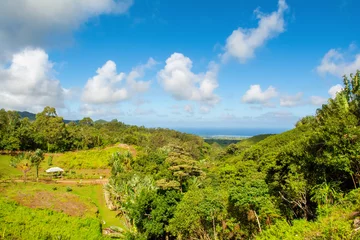 Photo sur Plexiglas Le Morne, Maurice Landscape of Casela National Park in Mauritius island
