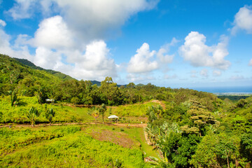 Fototapeta na wymiar Landscape of Casela National Park in Mauritius island
