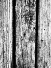 Embossed wood texture, old wood black and white background
