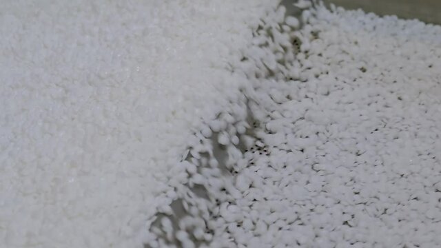 White recycled plastic granules - propylene or polyethylene pellets on shale shaker, conveyor belt of waste plastic recycling machine - close up. Environmental protection, automated technology concept