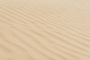 Background with sandy dunes. Desert life concept. Sand texture