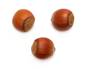 hazelnut top view