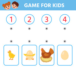Education logic game for preschool kids. Chicken life cycle. Arrange in order. Printable worksheet. Children funny riddle entertainment
