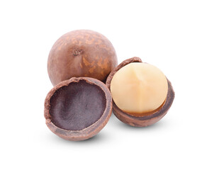Macadamia nut isolated on a white background