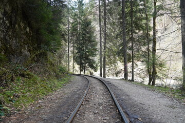 Obraz premium Railroad passes through a beautiful forest in the Carpathian mountains