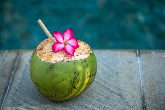 Green young coconut close up with bamboo straw and tropical pink flower on the edge of swimming pool