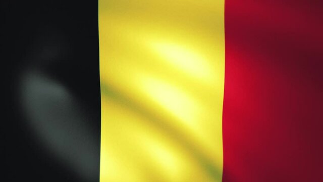 風にはためくベルギー国旗のCGループ映像