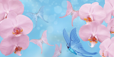 blue and pink butterfly and pink orchid