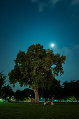 night view from india gate park in  full moon day