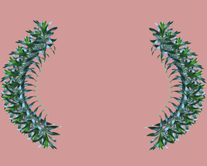 Tropical leaves on background, banner, space for text, flat lay