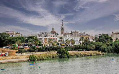Seville, one the most beautiful cities in Andalusia with the Torre del Oro in the background, Spain