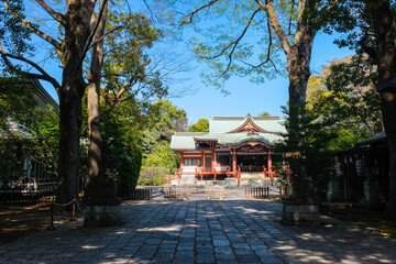 Fototapeta premium 東京都 吉祥寺 武蔵野八幡宮