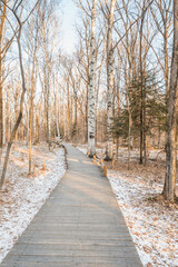 Fototapeta premium Snow, trees and trestles in changbai Mountain, Jilin, China, at sunset in winter