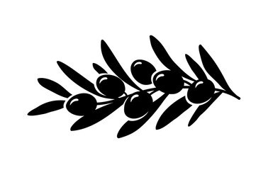 black hand drawn olive branch and olives