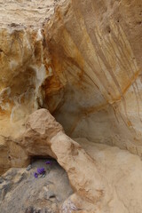 Scripts Sandstone Deposits at Carlsbad Beach Showing Erosion of the Cliff by Ocean Waves and Wind