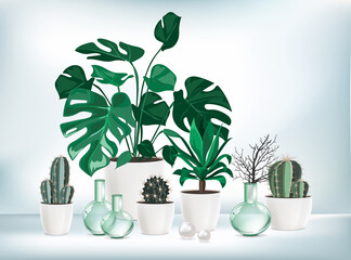 Fototapeta na wymiar Vector isolated collection with indoor plants. Collections contains a lot of beautiful plants, cactus, succulents, palms, monstera in different pots with changeable color. Home gardening concept.