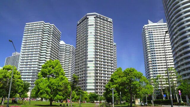 新緑とタワーマンション