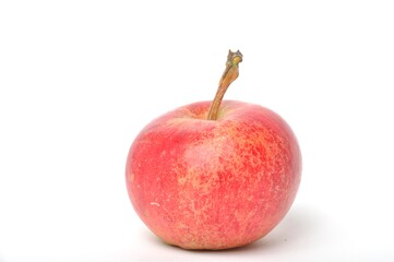 Apple on a white background