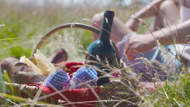 repas pique-nique famille  dans la nature champs avec fromage vin cerise rouge herbe prairie campagne 