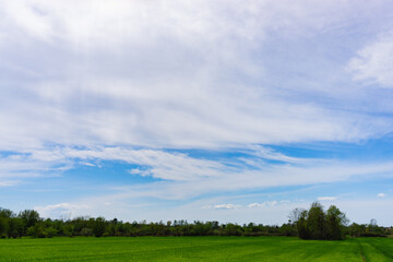 green field and blue sky with beautiful clouds