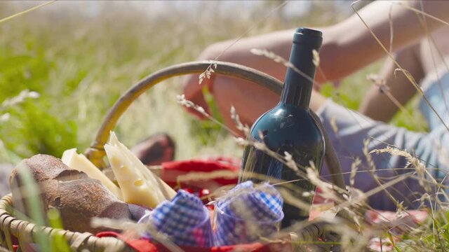 repas pique-nique famille  dans la nature champs avec fromage vin cerise rouge herbe prairie campagne 