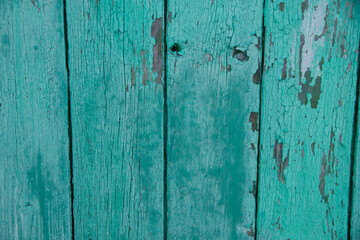 Wood texture, background with copy space. Old wooden barn green or emerald