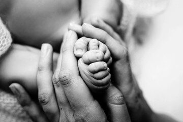 Children's feet in hold hands of mother and father on white. Mother, father and newborn Child. Happy Family people concept. Black and white.