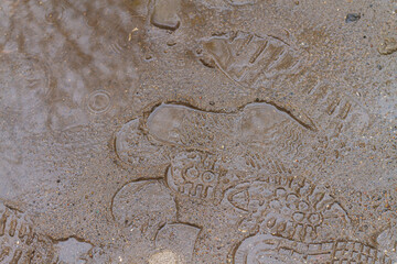 Puddles and footprints on the ground in the rain
