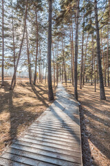 Snow, trees and trestles in changbai Mountain, Jilin, China, at sunset in winter
