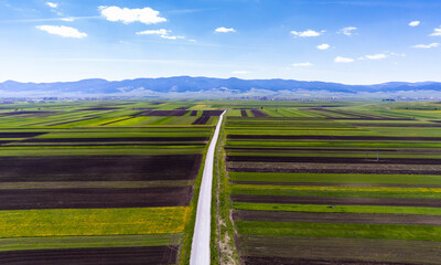 Fototapeta na wymiar Asphalt road leading through green agricultural fields at springtime aerial drone view.