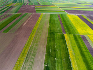 Aerial drone view, agricultural field, green and yellow parcels for agricultural background.