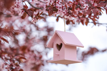 Pink bird house with heart shaped hole hanging from tree branch outdoors