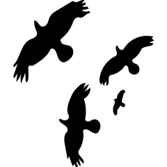 silhouette of a group of bird