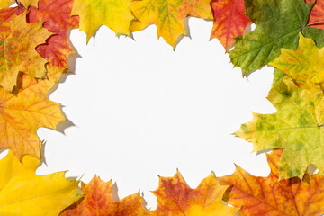 Naklejka na ściany i meble Frame made from vibrant colorful natural maple leaves, white background inside . Autumn theme.