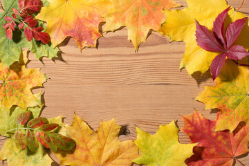 Naklejka na ściany i meble Frame made from vibrant colorful natural maple leaves, with wooden background inside . Autumn theme.