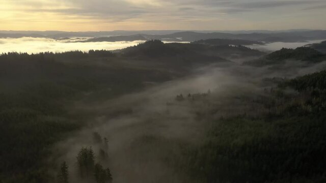 Atmospheric and cinematic sunrise, Oregon. Aerial flying backwards