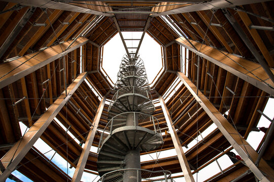 Walking through treetops - wooden tower