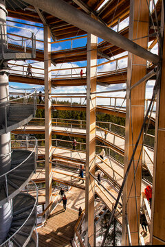 Walking through treetops - tower