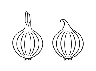 Onion outline. Isolated onion on white background