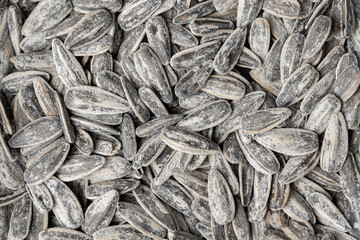 Pile of salted and roasted sunflower seeds